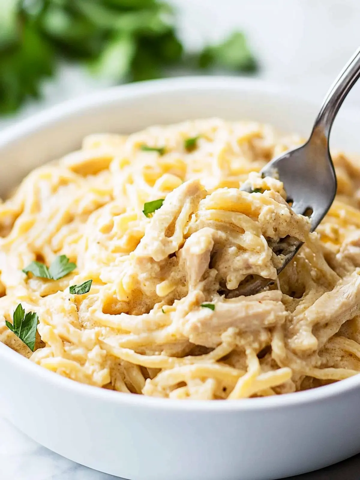 Delicious Turkey Tetrazzini for Comforting Family Dinners 5 Turkey Tetrazzini